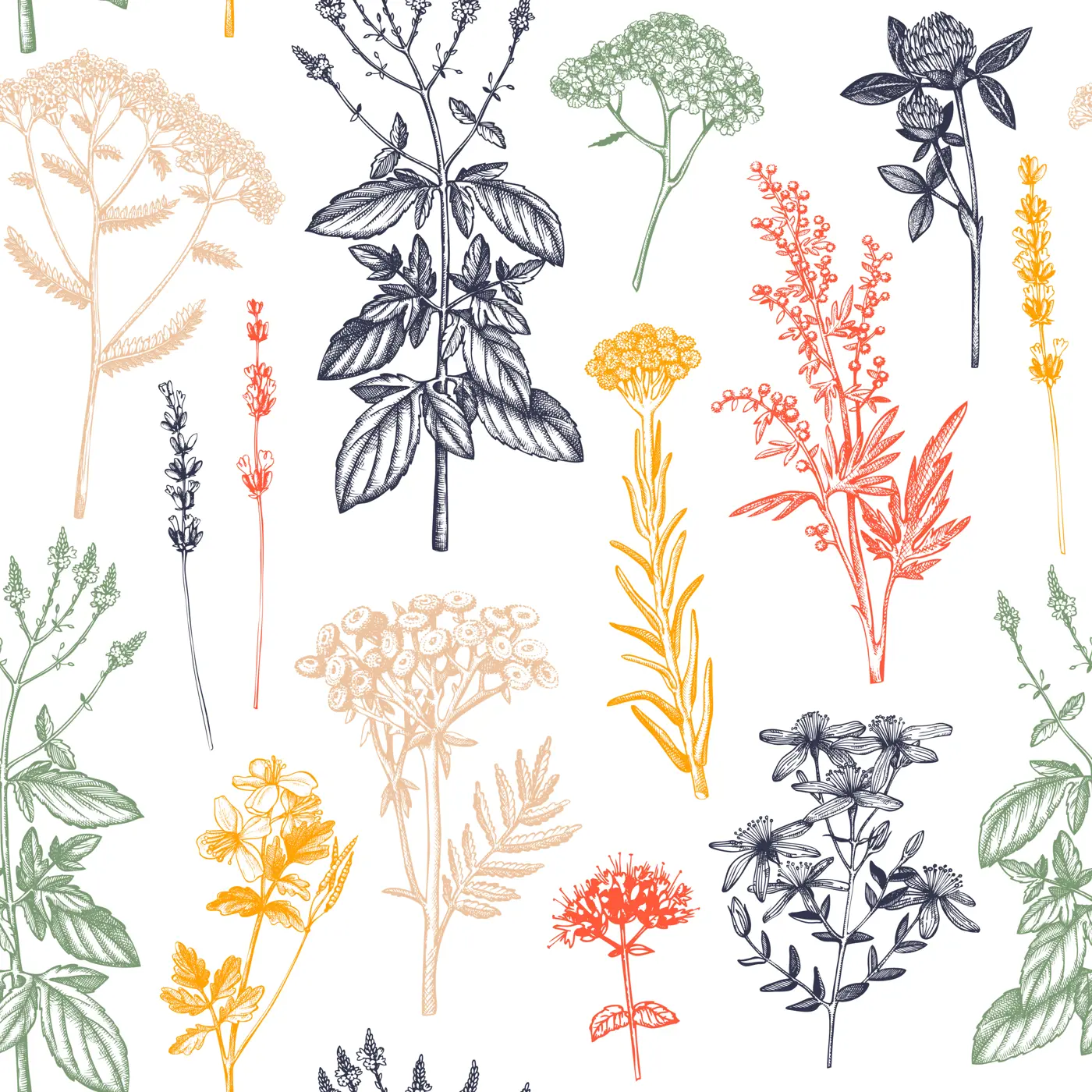 Herbal Seamless Pattern Illustration